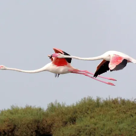 El Remanso Iii Апартаменты Ла-Манга-дель-Мар-Менор